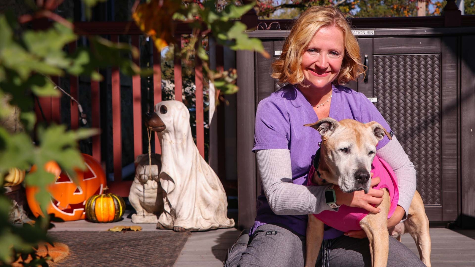 15-year-old pit bull gets second chance thanks to Pa. veterinarian ...