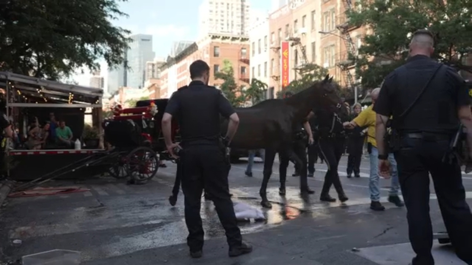 Ryder, carriage horse that collapsed this summer in Manhattan, has been