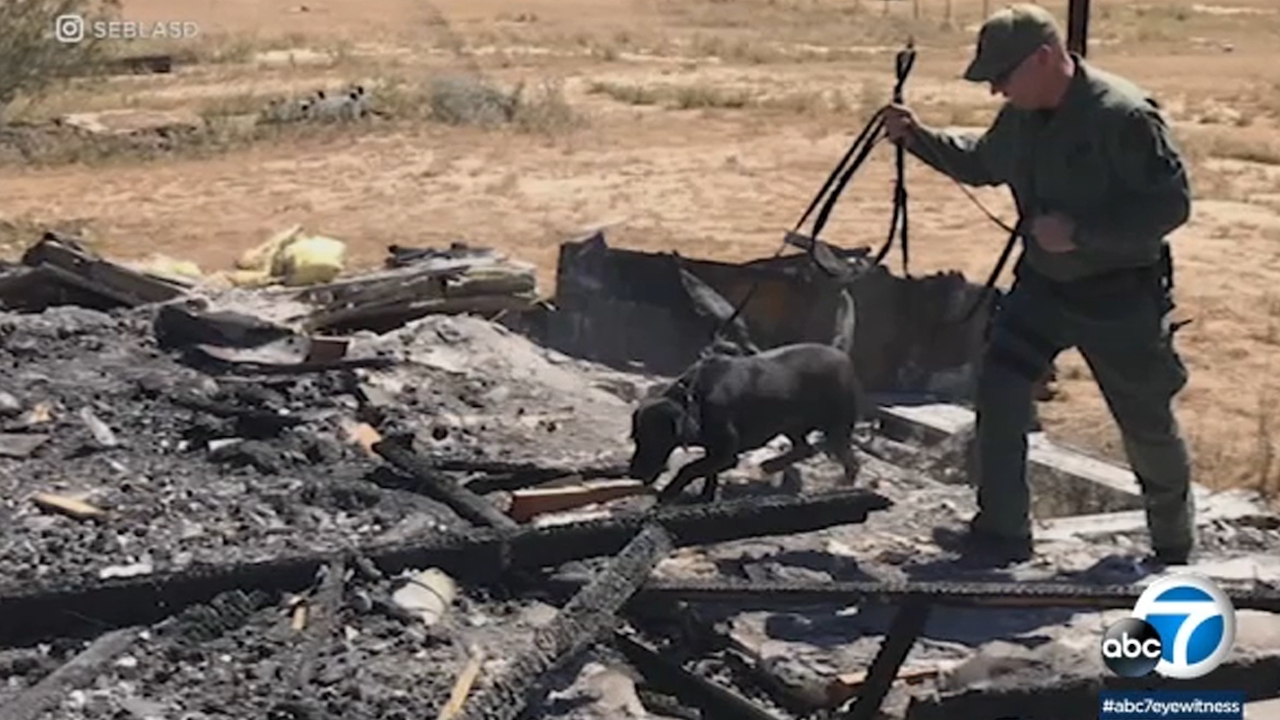 LA Sheriff's Dept. dog died after being left in hot car, suit claims