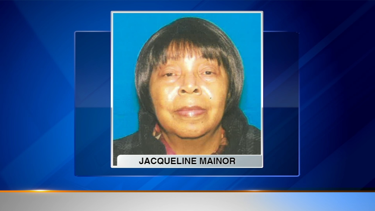 South suburban police search for missing woman