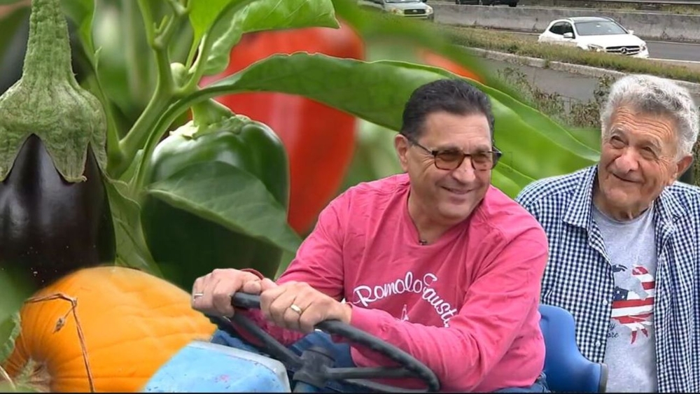 89-year-old man runs little farm by big NJ highway