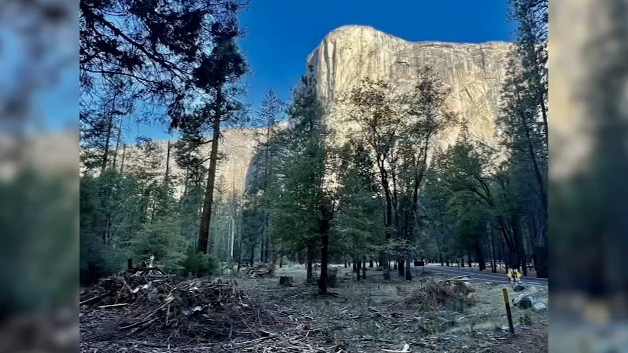 Yosemite National Park prepares for controlled burning