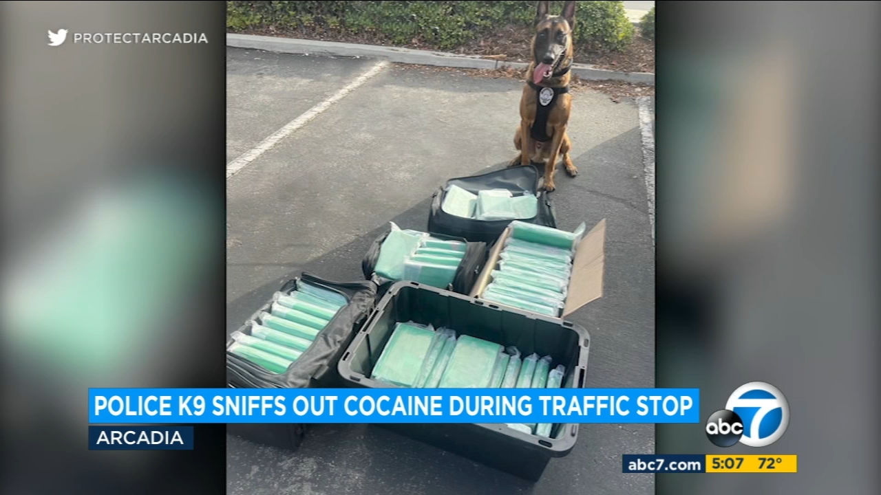 $25 million worth of cocaine seized with help of Arcadia police K-9