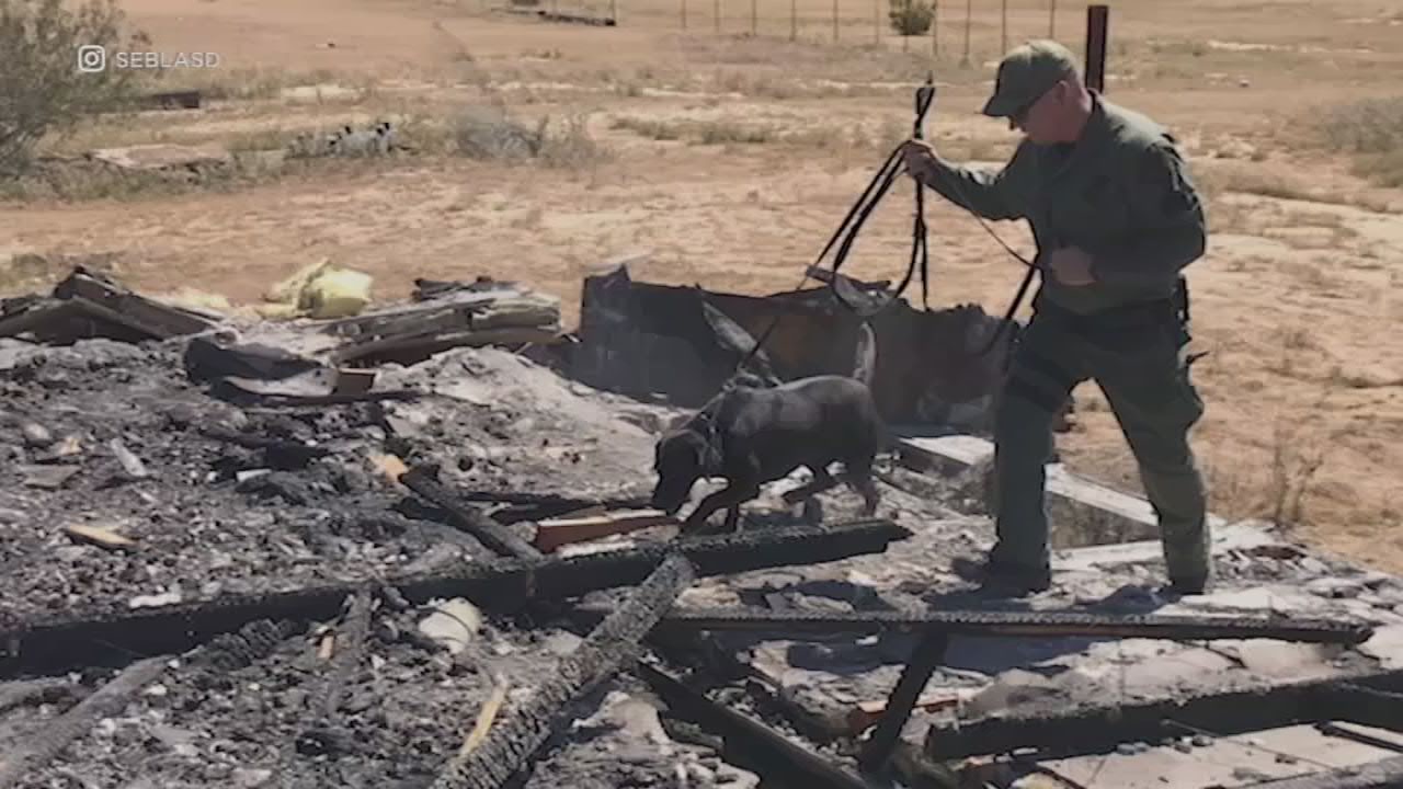 Whistleblower's lawsuit over LASD K-9's death highlights discrepancies