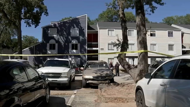 Houston crime: Man found dead, shot in the face near Del Lago ...