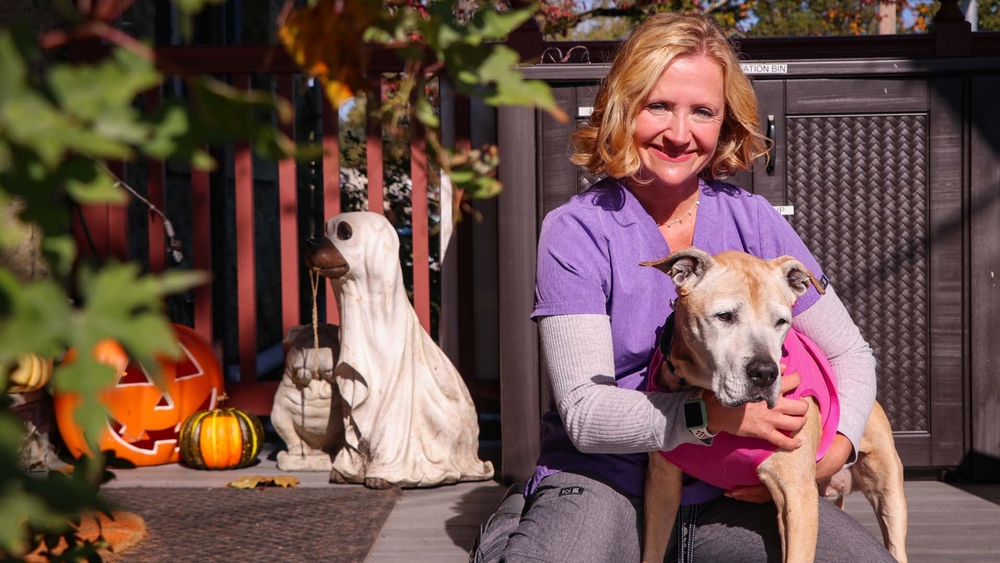 Senior pit bull gets second chance thanks to Pa. veterinarian