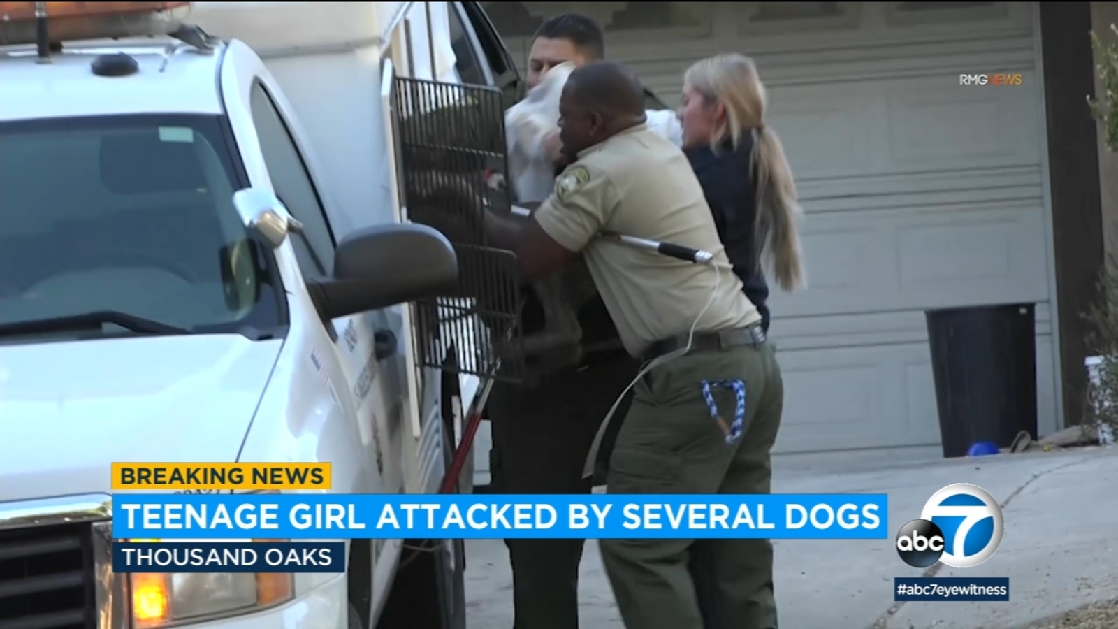 Teen girl hospitalized after being attacked by several dogs in Thousand ...