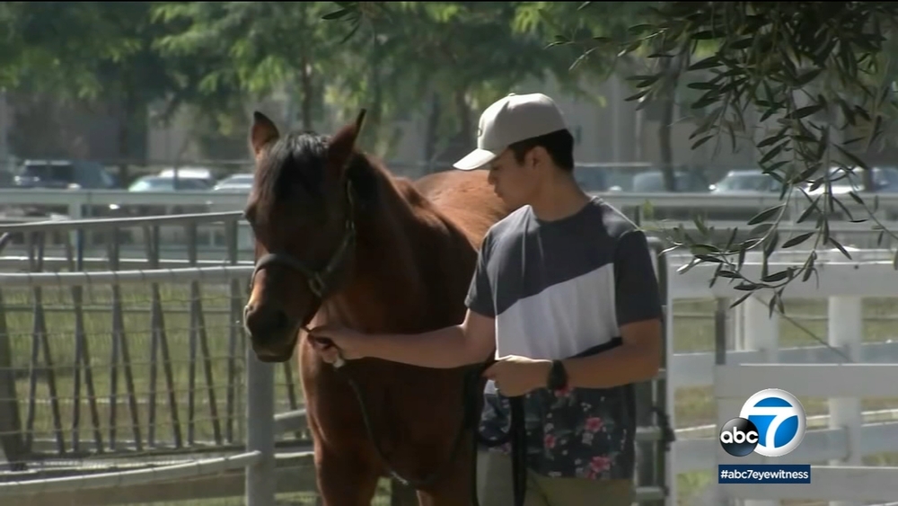 'Horses for Heroes' program offers veterans stress relief therapy