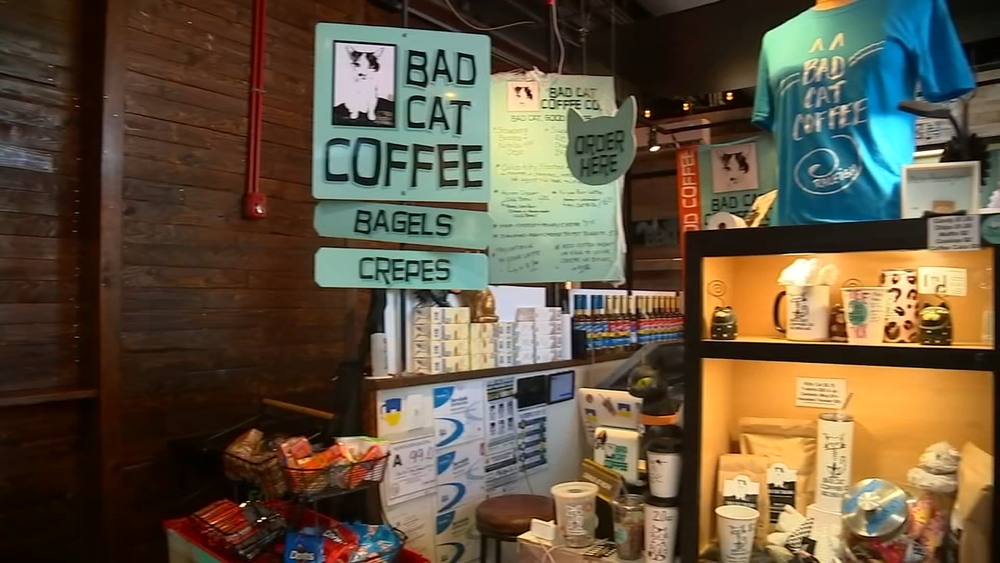 Bad Cat Coffee combines love of coffee and cats