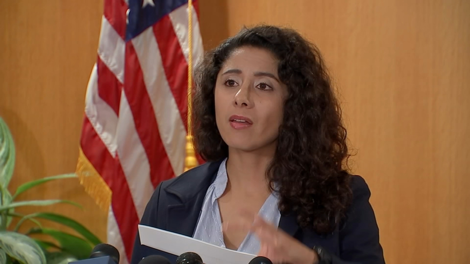 harris-county-judge-lina-hidalgo-lists-her-top-5-priorities-as-she