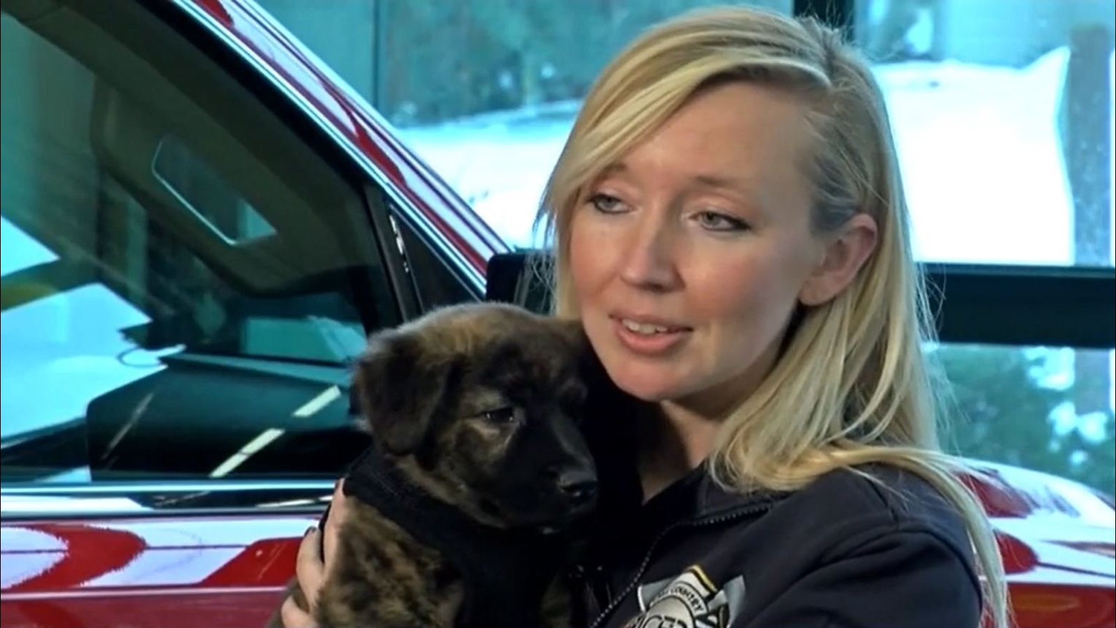 Western Lake plane crash with dogs First responders that helped in