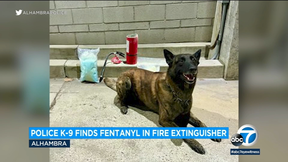 Alhambra K-9 officer helps find 50K fentanyl pills during traffic stop