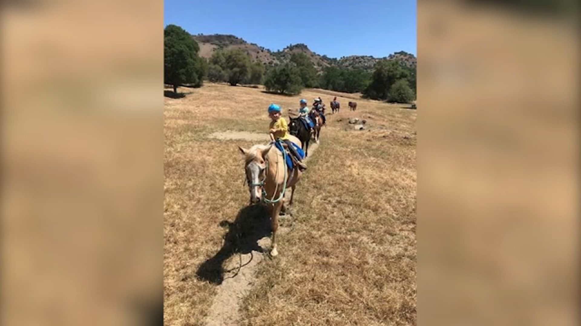 Sierra Foothill Conservancy hosting horseback rides this Thanksgiving weekend