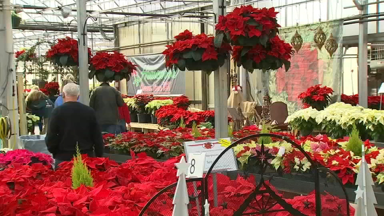 Shoppers find local deals on Small Business Saturday