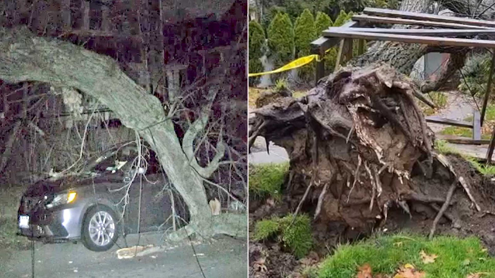NYC weather: Stormy weather brings down trees, knocks out power in ...