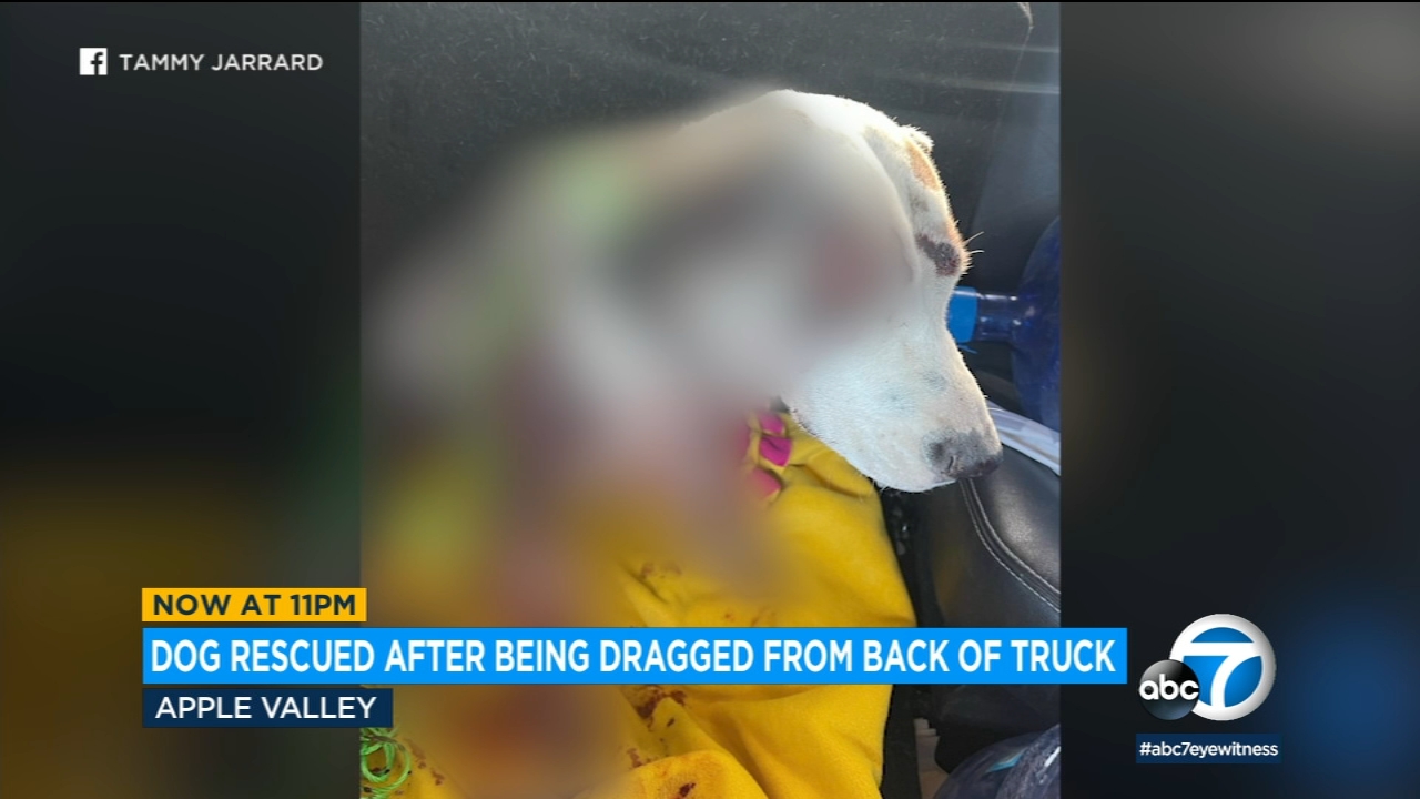 Dog rescued after it was spotted being dragged by SUV in Apple Valley