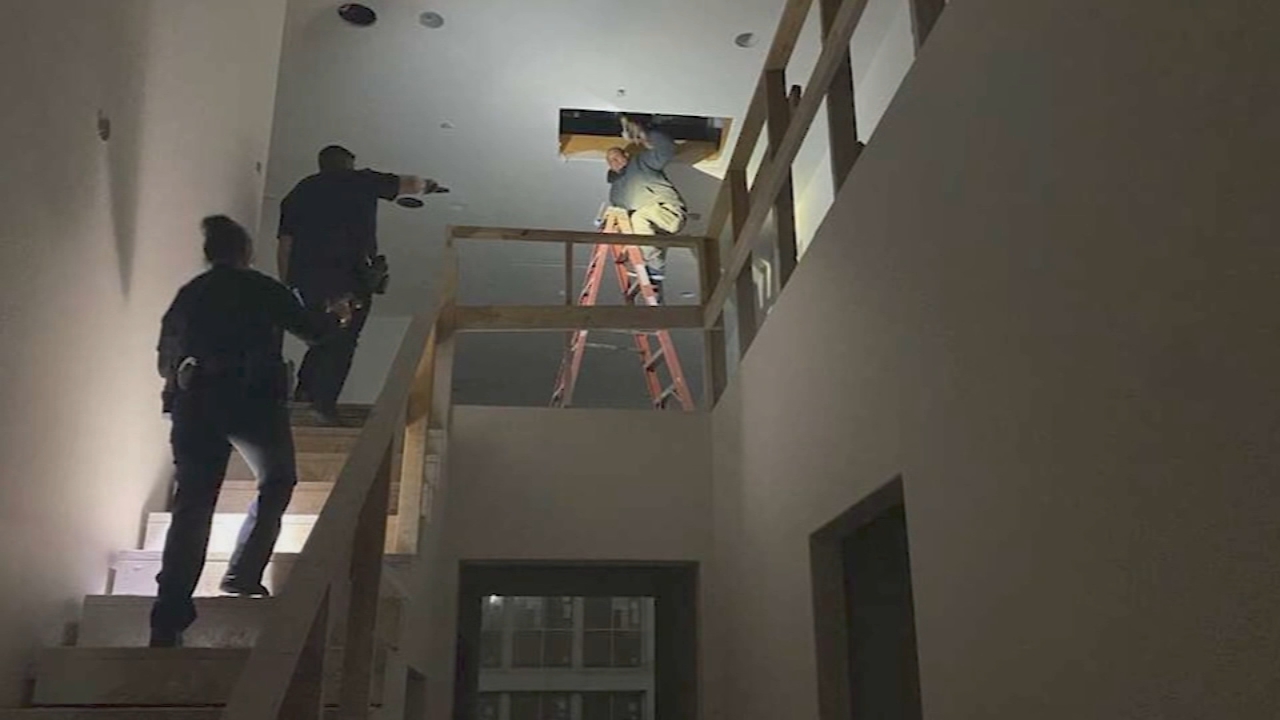 Burglar freezes at top of ladder under hole in ceiling as cops arrive