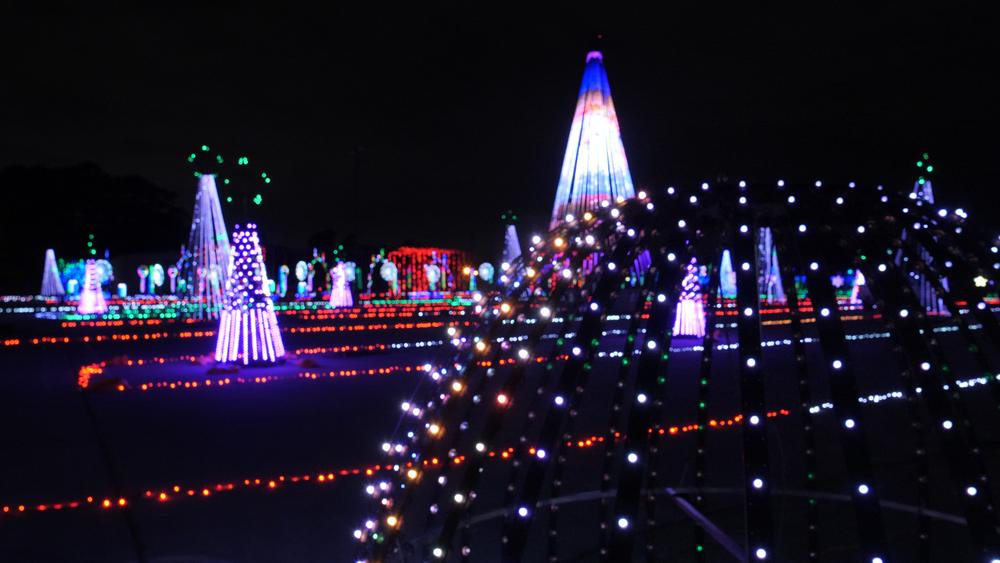 Enjoy Christmas lights without getting out of your car 