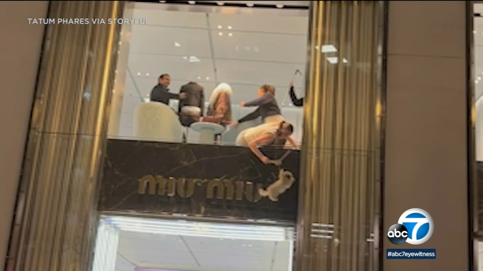 Trending video: Small puppy rescued after getting stuck in Miu Miu ...