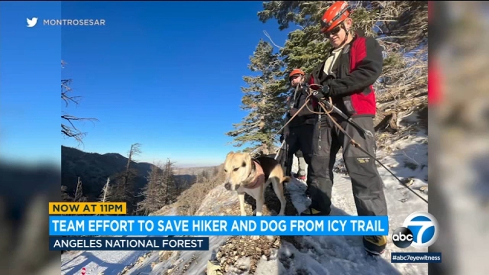 Hiker, dog rescued from icy conditions in Angeles National Forest