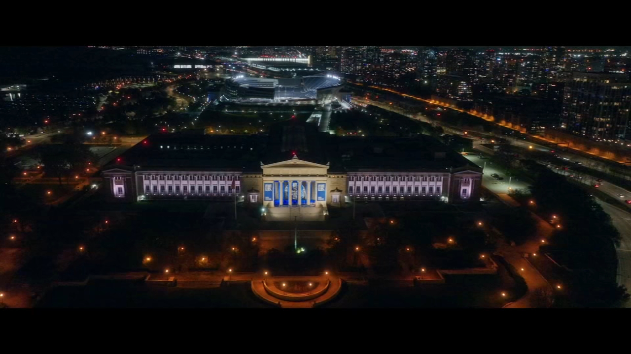 Countdown Chicago: A Night At The Field Museum