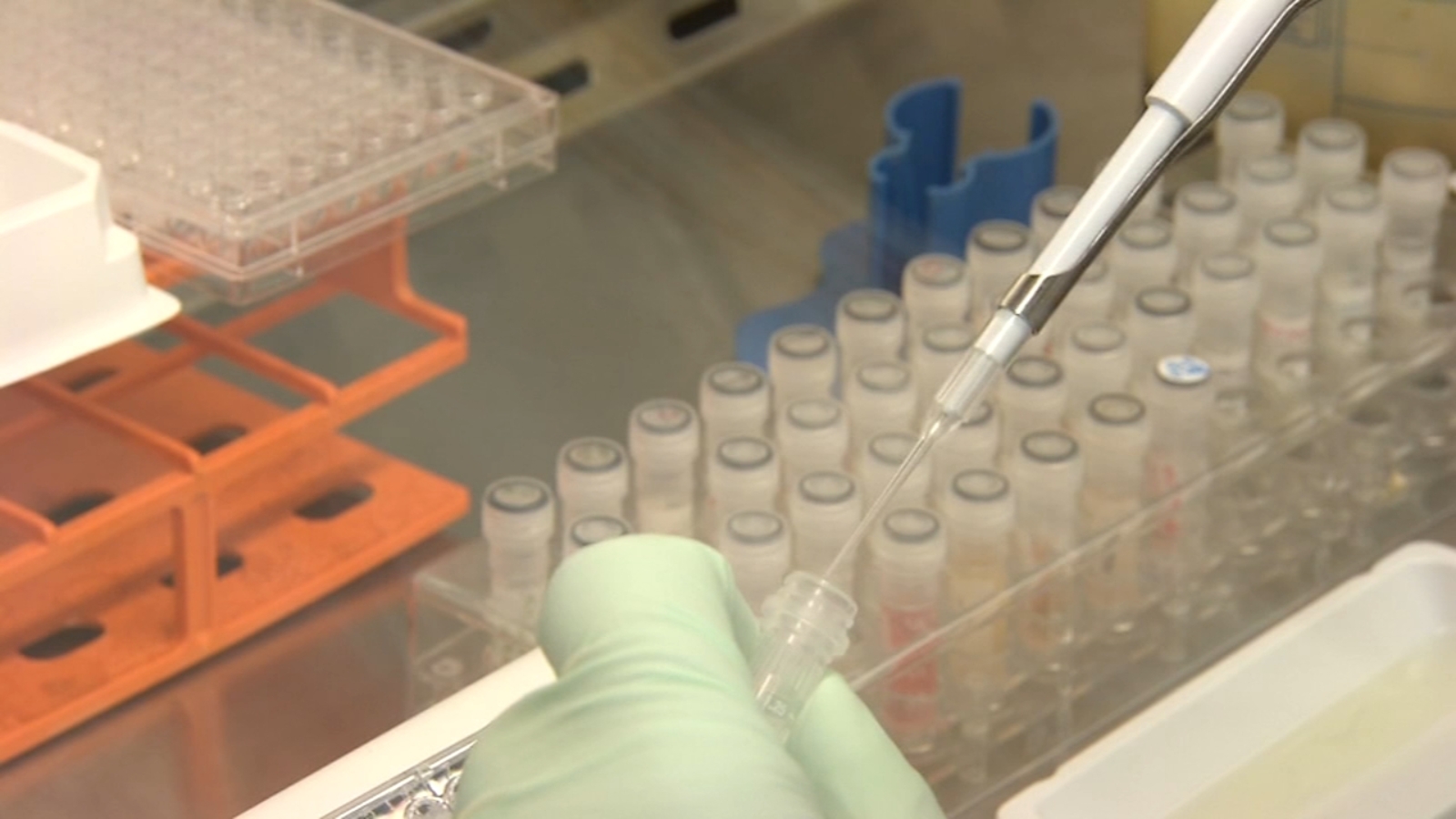 Universal flu vaccine Researchers successfully immunize animals