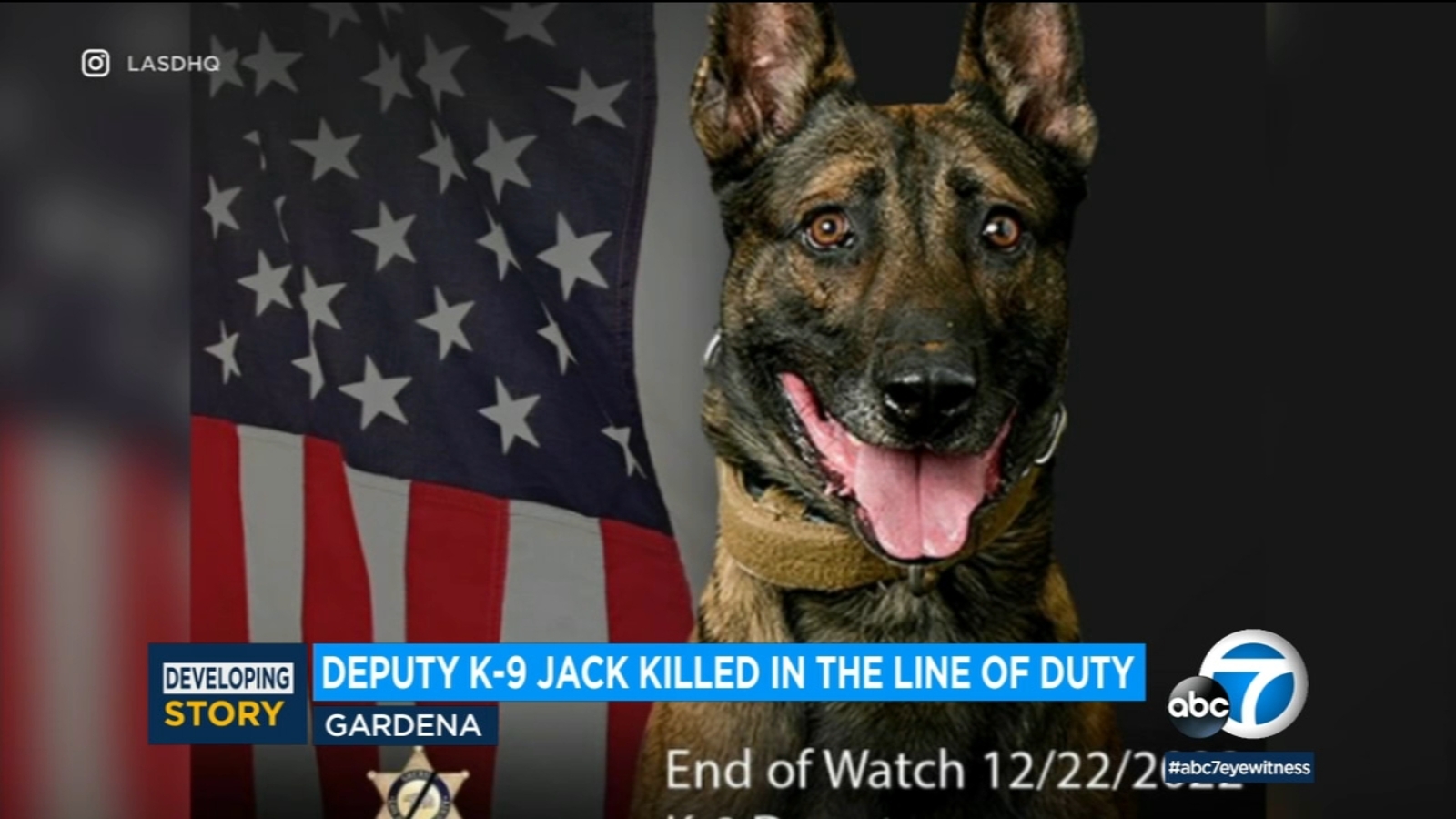 LA County Sheriff's Department K-9 deputy Jack shot and killed during ...