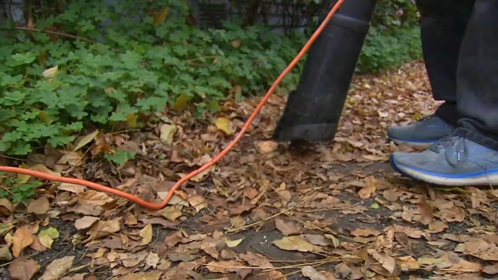 North Bay braces for possible power outages, flash flooding as winter storm hits ABC7 San