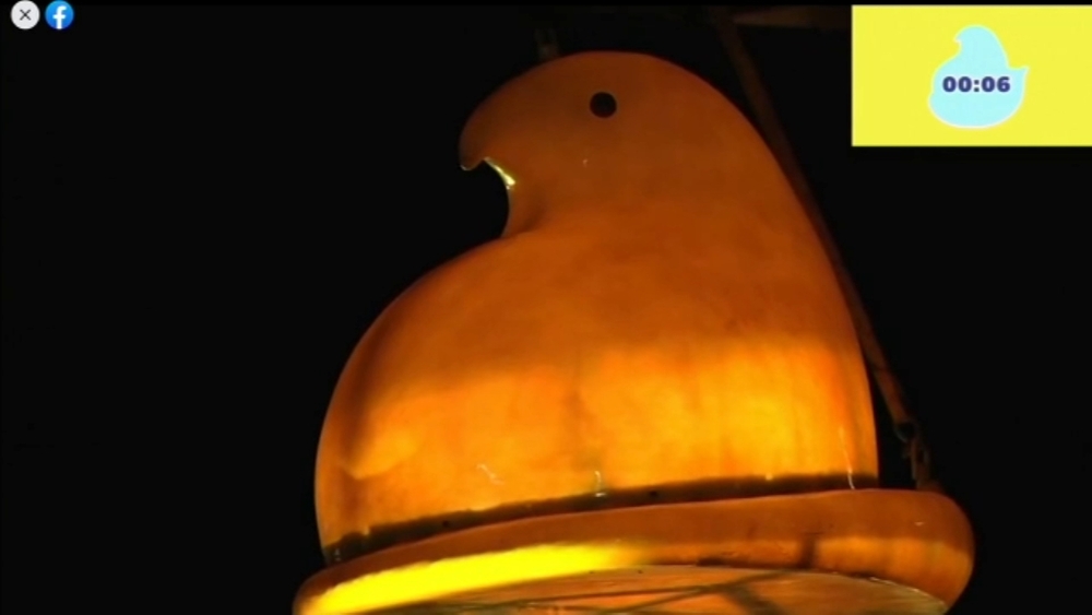 Peepsfest organizers warn of ticket scam