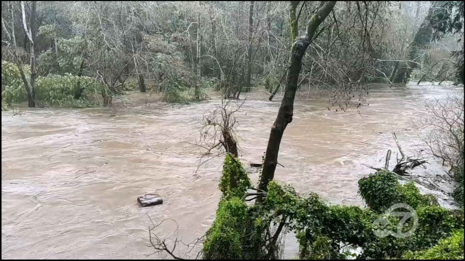 San Francisco Bay Space Degree 5 storm dwell updates: A number of cities declare native, state emergencies as atmospheric river arrives San Francisco Bay Space Degree 5 storm dwell updates: A number of cities declare native, state emergencies as atmospheric river arrives