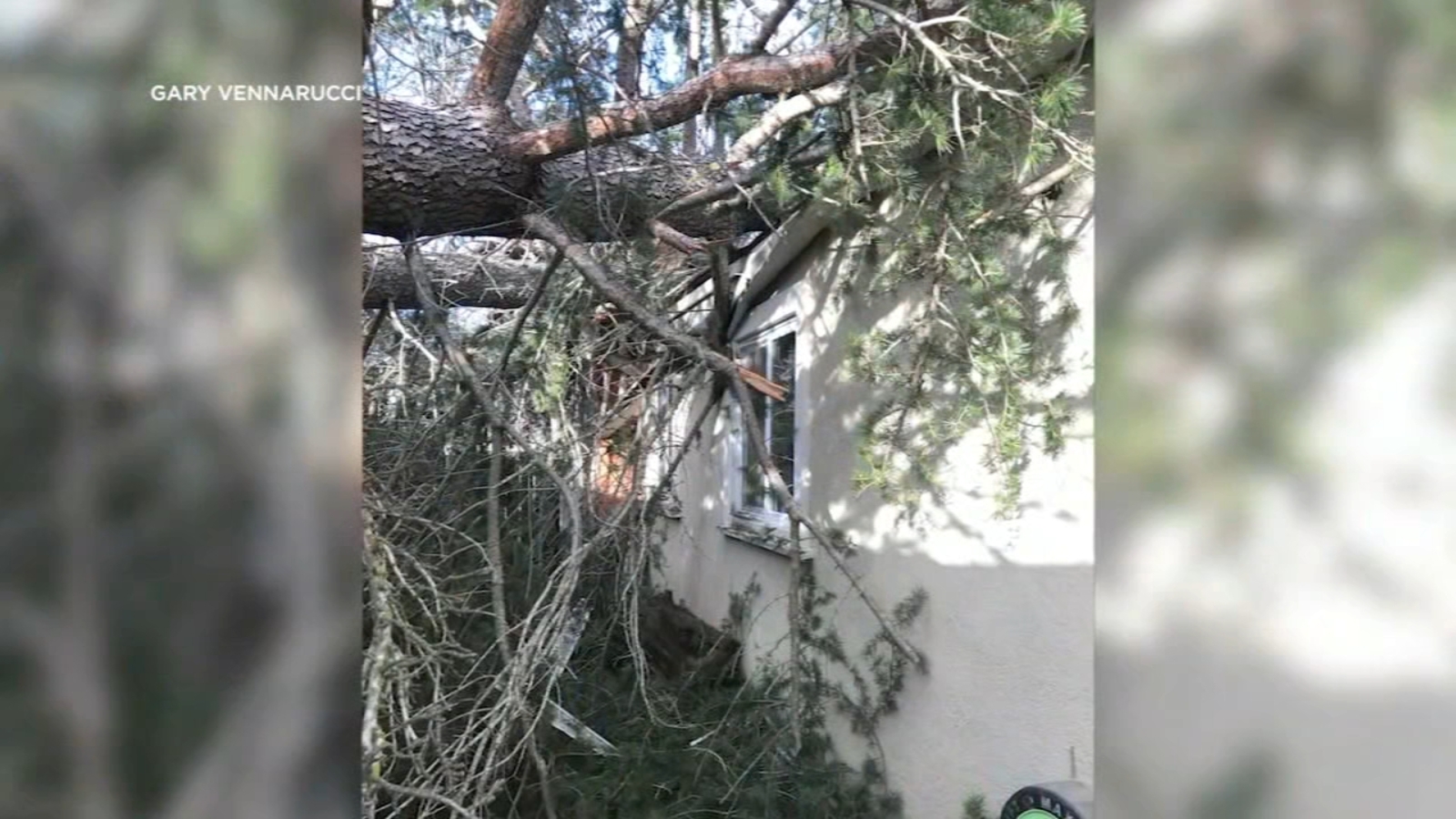 Pleasanton family escapes falling tree that broke through windows, roof