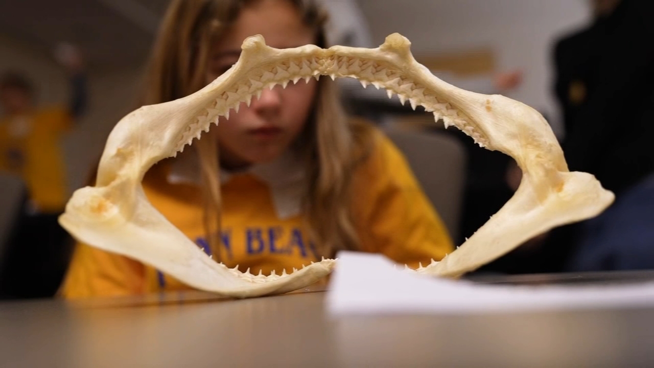Students get hands-on experience at annual science conference