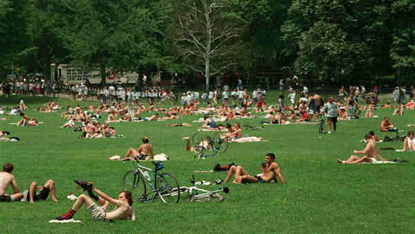 Time for the First Mow at Central Park