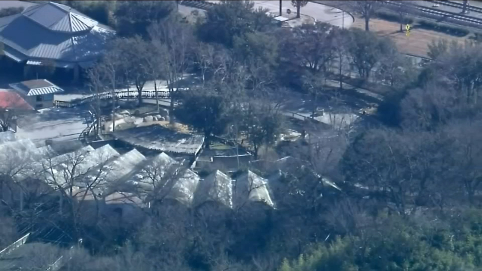 As Dallas Zoo recovers from missing leopard fiasco, police find 2nd