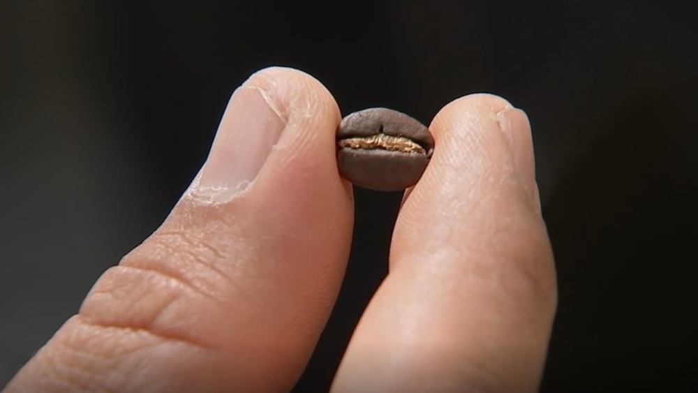 Coffee runs in this family's DNA
