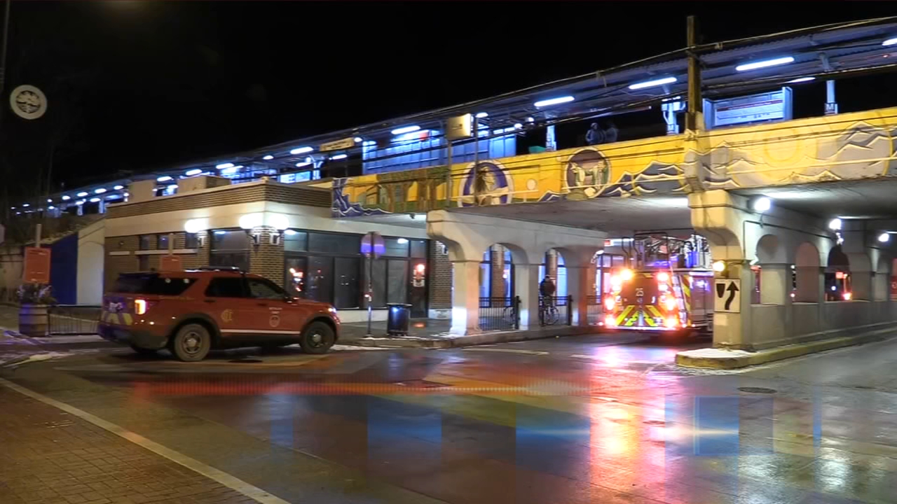CTA Red Line trains standing at Howard after empty train derails