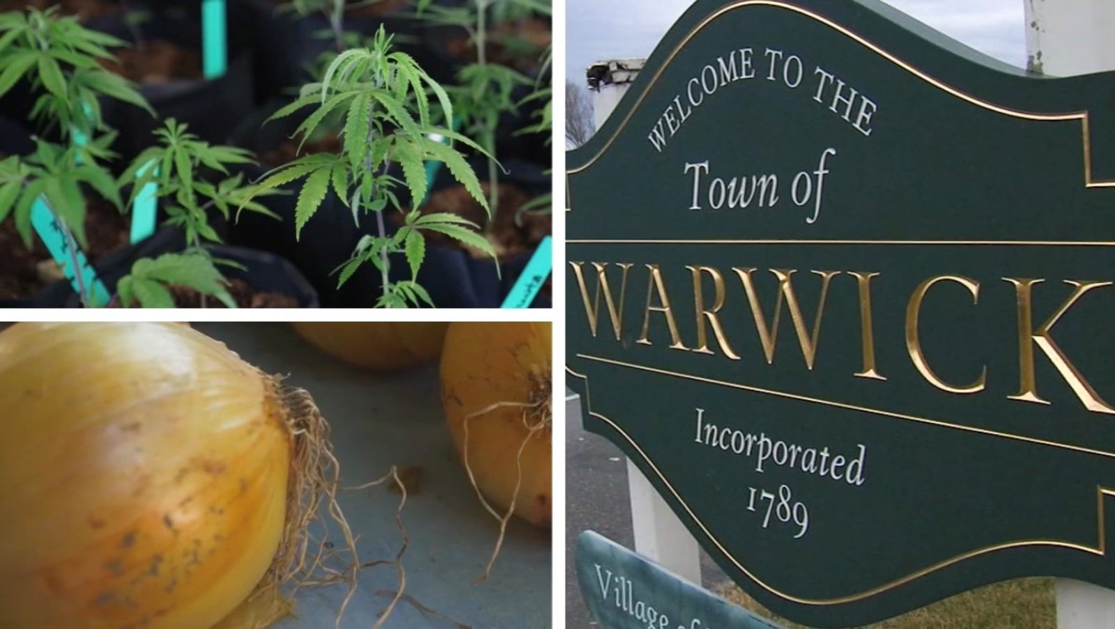 Dan Krauth 7 On Your Side Investigates Warwick, NY planting seed for