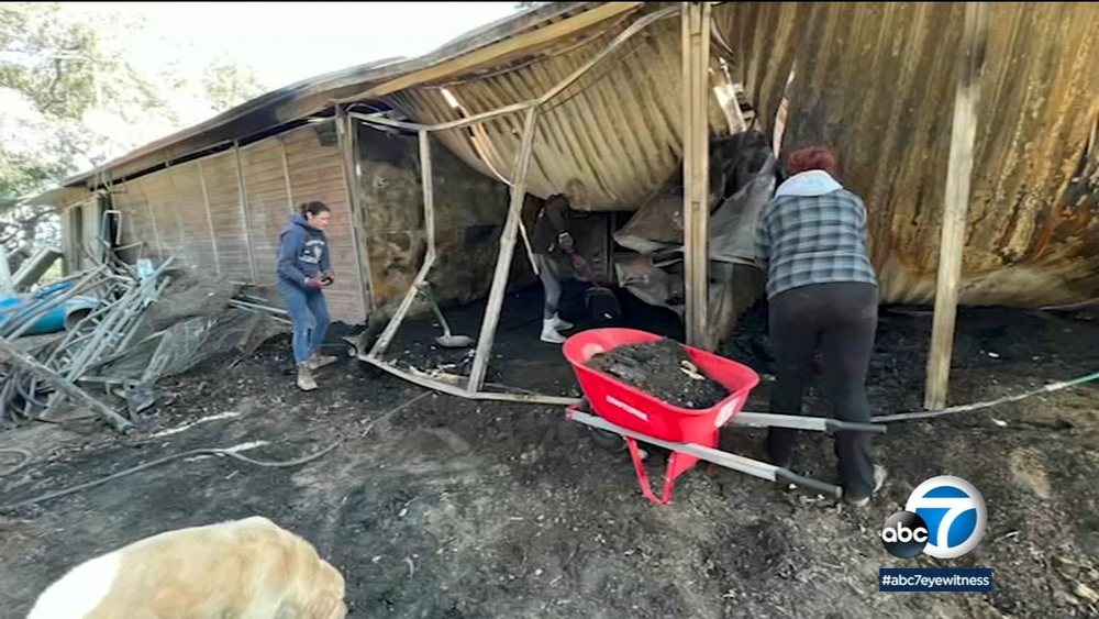 Newhall equestrian center trying to recover after fire kills 2 horses