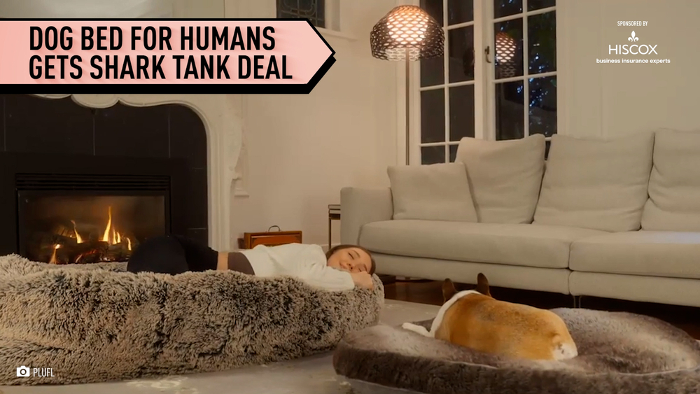 Dog bed for humans goes viral on TikTok