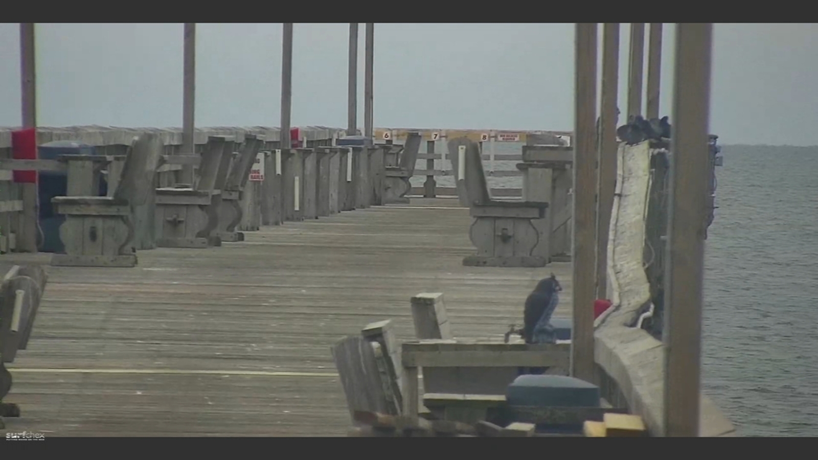 North Carolina beach ranks among nations top 10 dangerous beaches