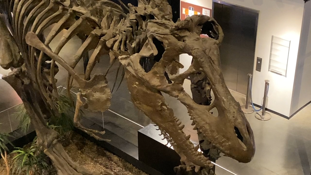 The Houston Museum of Natural Science in Sugar Land 