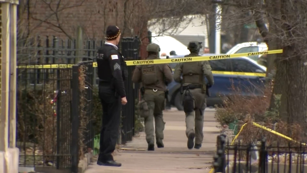 No one in custody after 2 dogs shot, 1 fatally: CPD