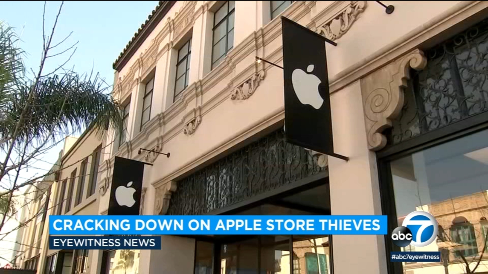 8 charged with conspiracy in retail theft ring targeting Apple stores