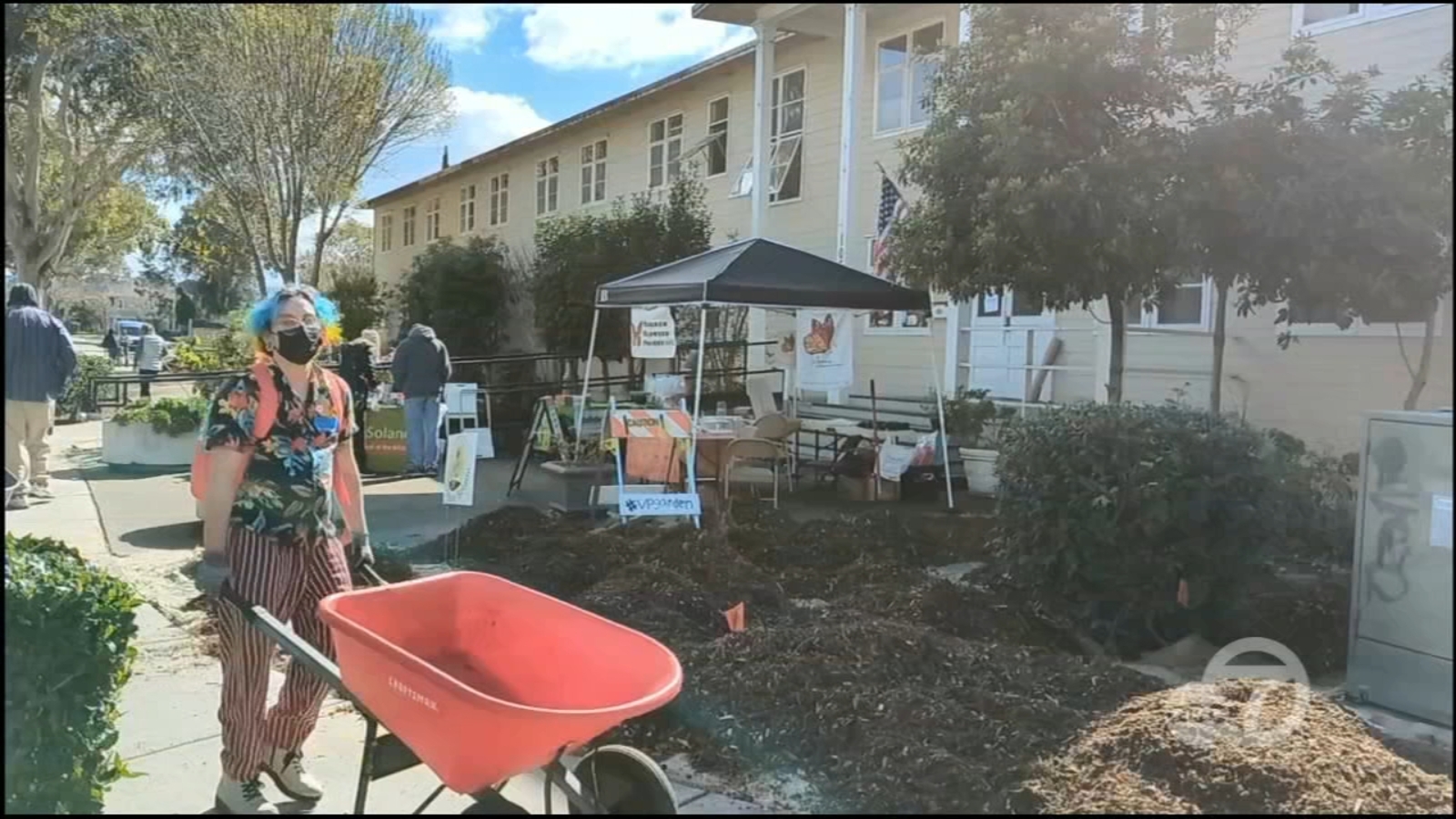 New Monarch Butterfly garden underway in Vallejo to help sustain