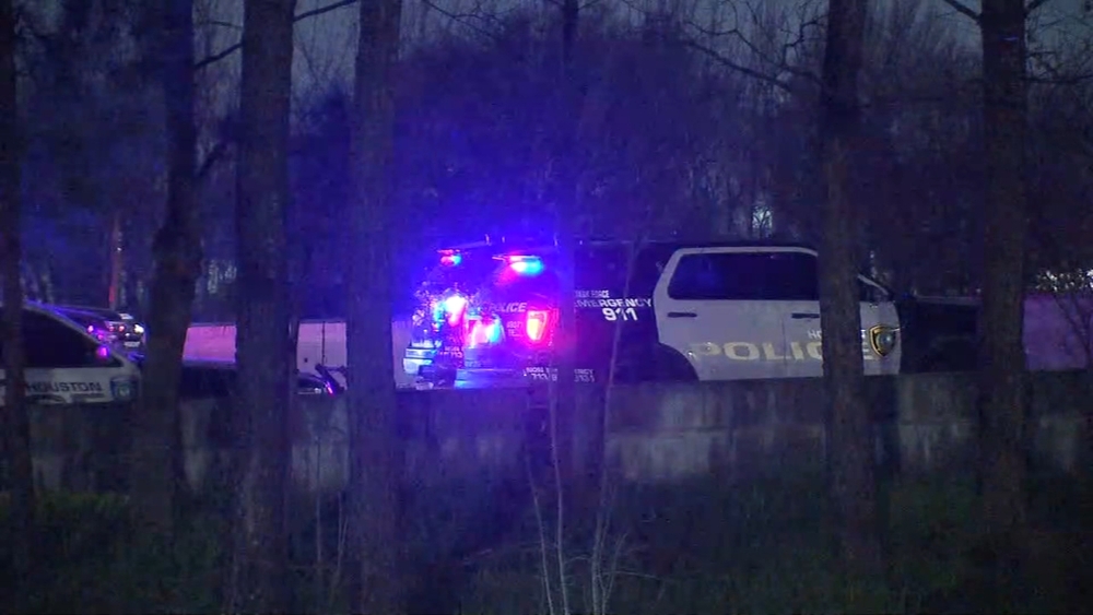 Woman dies after falling out of car during argument on I-45, HPD says