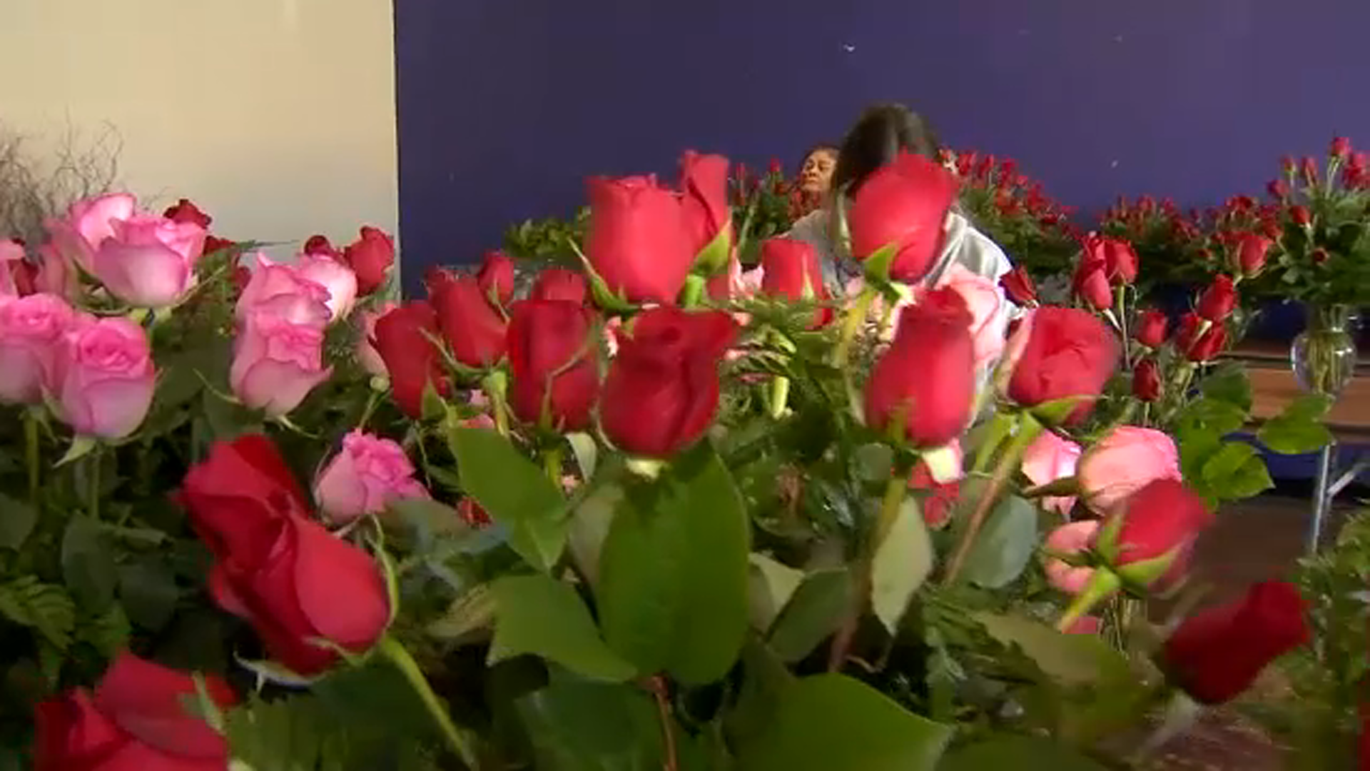Local florists prepare for busy Valentine's Day