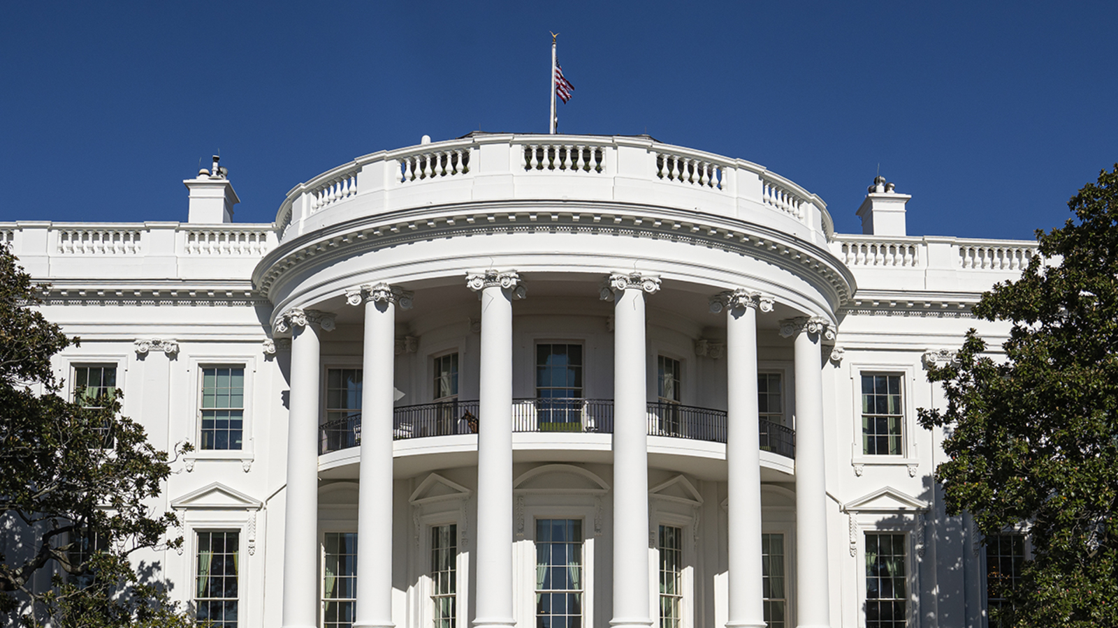 Who is running for president in 2024 - Vimarsana News