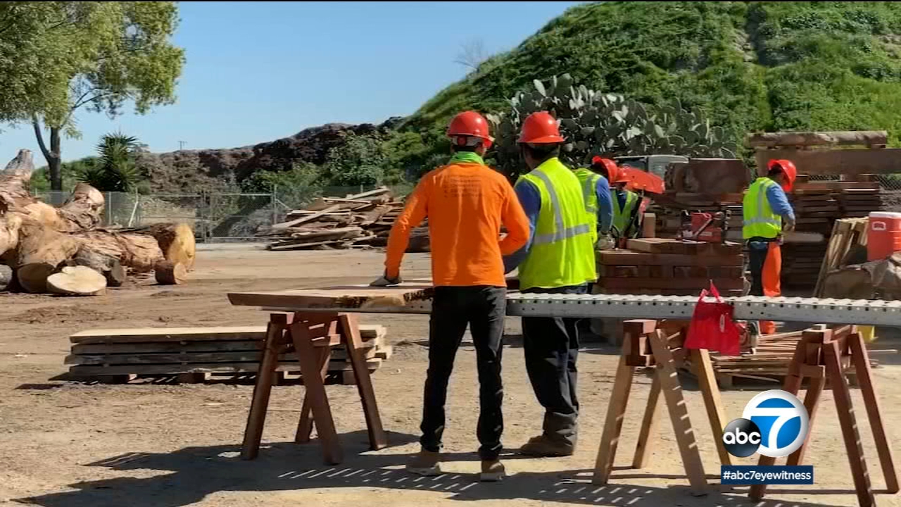 Youth transform dead trees into furniture through program