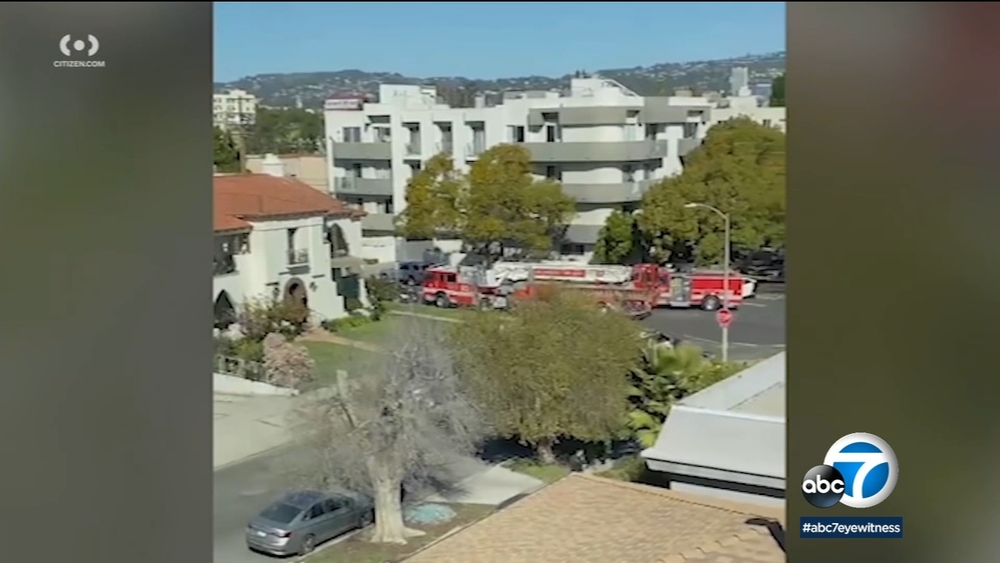 Suspect in custody in LA shootings of 2 Jewish men