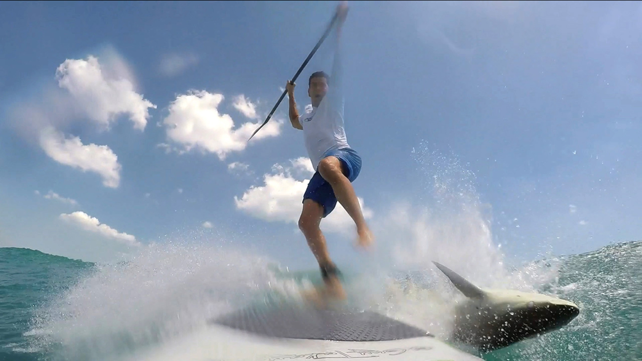 Florida Surfer Knocked Off Board By Shark Abc13 Houston Florida Surfer Knocked Off Board By Shark Abc13 Houston